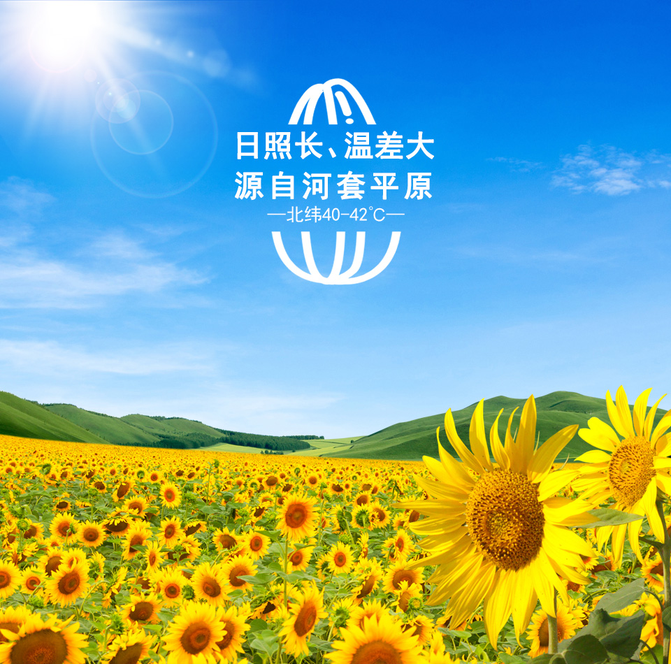 葵花主产区，
源自葵花之乡——内蒙古五原县